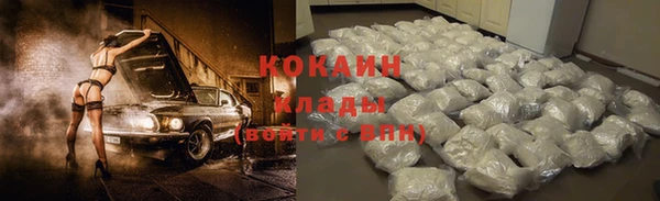 прущие грибы Богданович