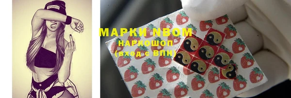 прущие грибы Богданович