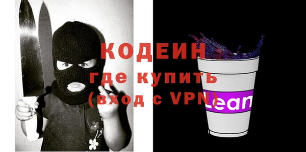 прущие грибы Богданович
