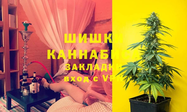 дмт Богородск