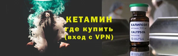 прущие грибы Богданович