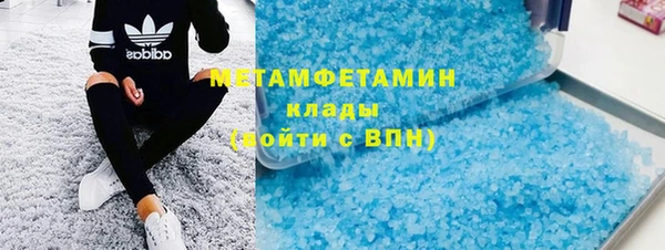 прущие грибы Богданович