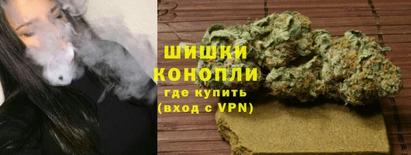 дмт Богородск