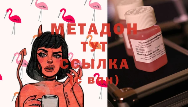 прущие грибы Богданович