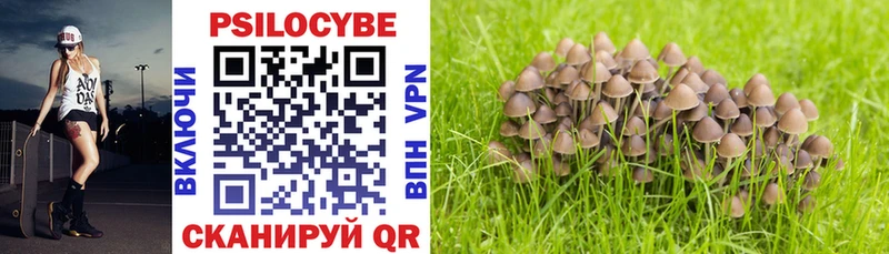 Псилоцибиновые грибы ЛСД  купить   Кирсанов 